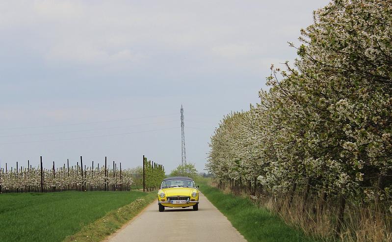 Follow the leader op 13-4-2014 org. Jos & Marie-lou (62).JPG